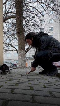 Надо кормить уличных животных❤️🥰