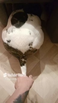 1000021865.mp4