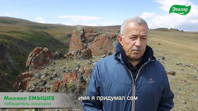 Барс Иней