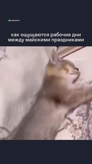 Какие еще работы? 🫠