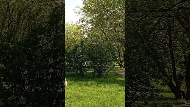 06.05.25. прогулка по местам моего детства