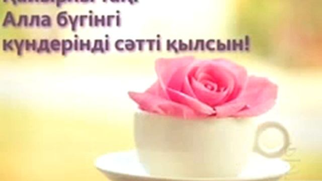 Менин атым Динара . Осы олен керемет екен