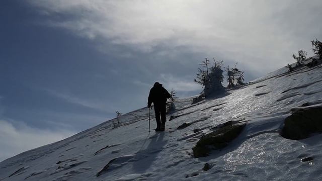 Похід Карпатами (Горгани). Гори Хом'як і Синяк.
