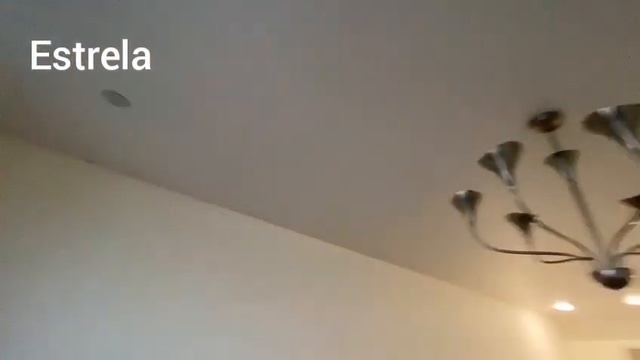 Матовый натяжной потолок в комнату