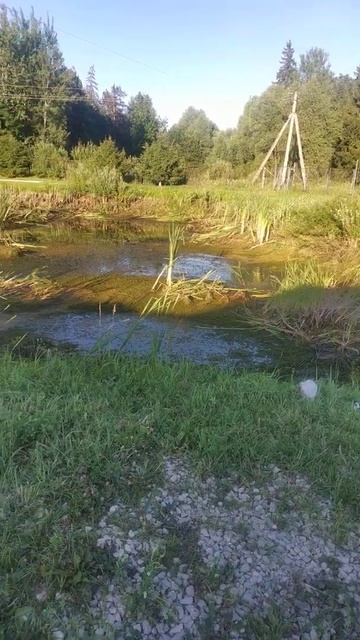 чистка пруда и углубление в СНТ. продолжение.