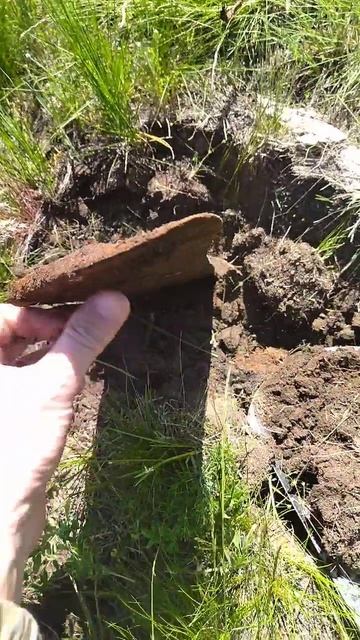 Стимул для Ангелины Вадимовны 😀