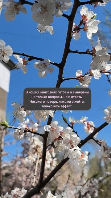 Почему мы так любим давать интервью и ходить по разным шоу в своих фантазиях?