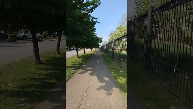 УТРО НА СПОРТЕ 😃