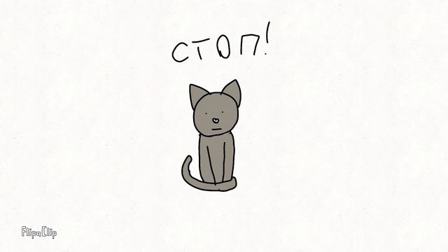 солнечный шпиц 🐶