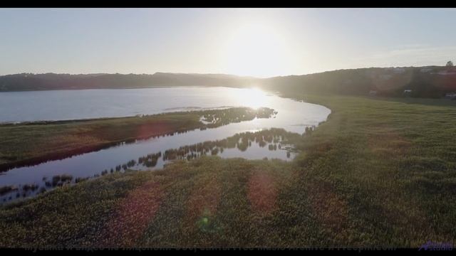Поля наполняются жизнью вместе с этим саундом - Guacamole -- Greg Atkinson -- All Behind Me