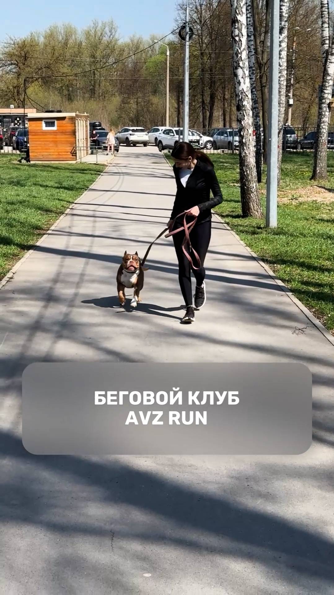 Беговой клуб AVZ RUN