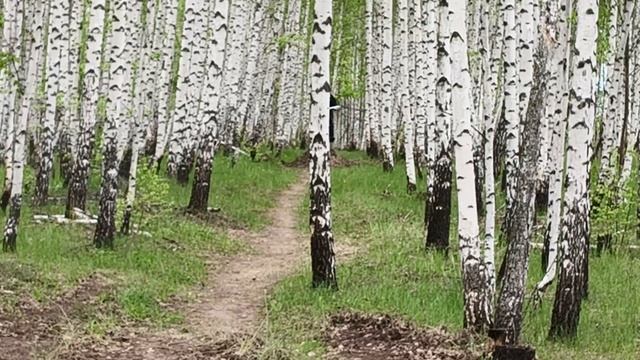 прыжки на маленьком мотоцикле Эндуро Лайт