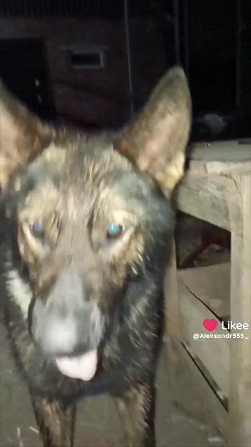 1000012987.mp4