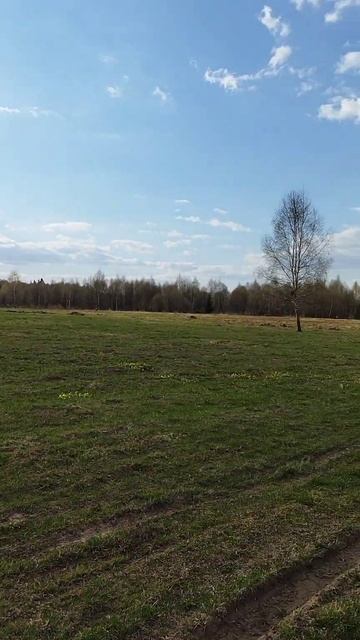 #монтаж #работа #сваи #поле #лес #поляна