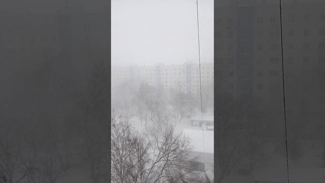 7 февраля 2024 Вы такую метель видели?