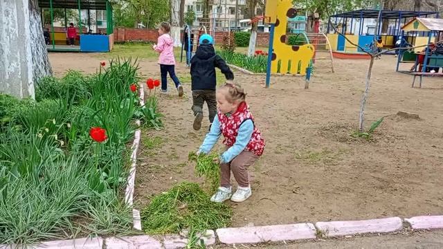 эколята видео