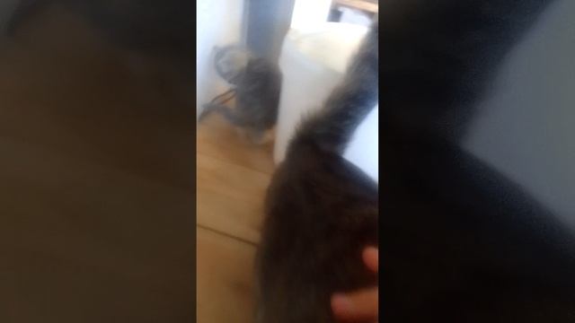 Катята😍😍