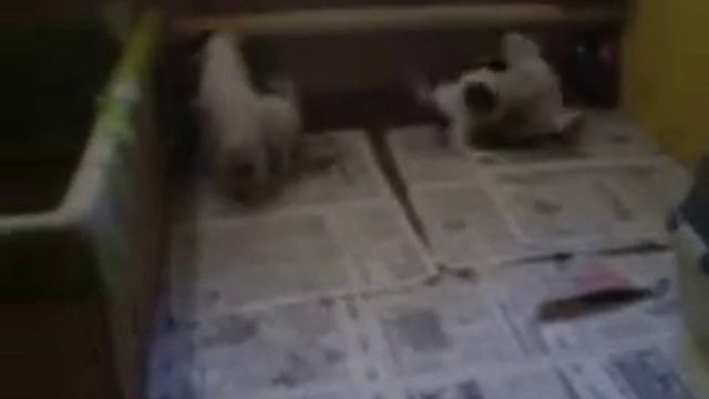 Мы растем 07.08.13года.