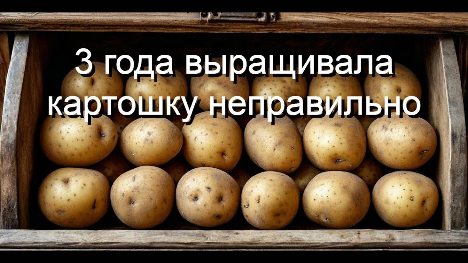 Как 3 года я мучилась с урожаем картошки, пока не узнала об этой ошибке! Советы для начинающих