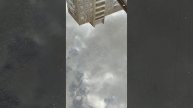 Осень и Алиса