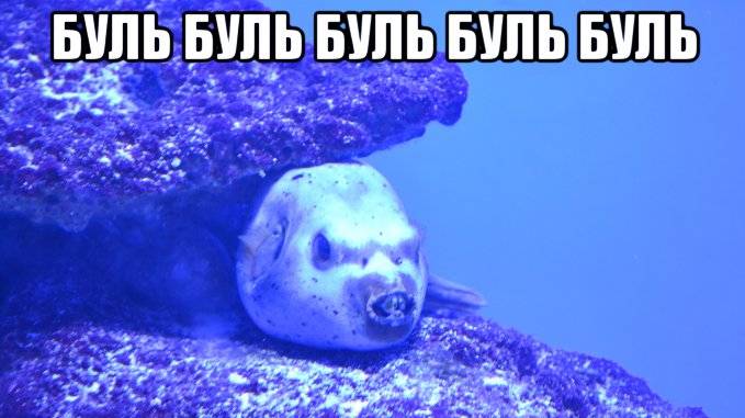 Буль Буль карасики