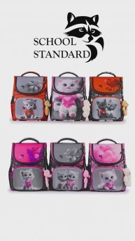 SS 300 дев 2025_1