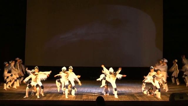 02. Чайки