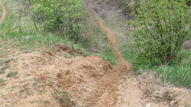 Весенний лес