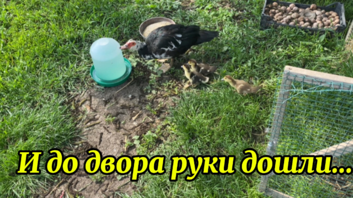 06.05.2025❤️ Сельчанка в деле/Теперь есть где разгуляться/