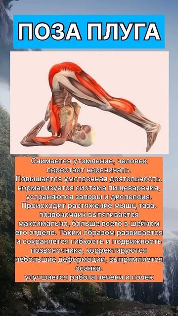 Полезно знать! Поза Плуга