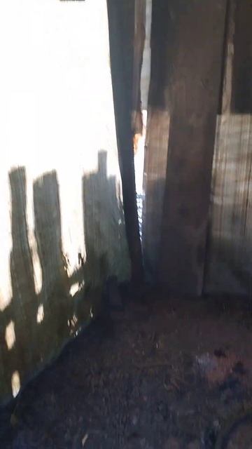 коптильня холодного копчения