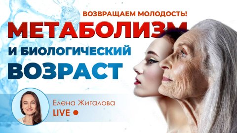 Метаболизм и биологический возраст - возвращаем молодость / Елена Жигалова