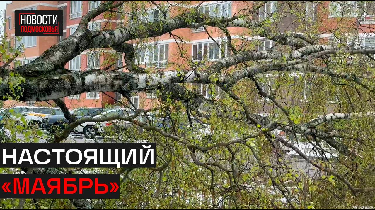 Коммунальные службы боролись со стихией в Истре