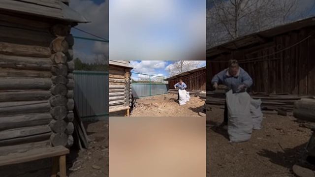 Уборка в курятнике. Сегодня одна по хозяйству.