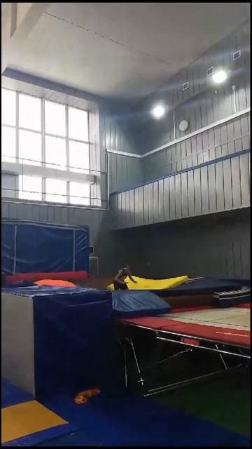 Наши малыши 3/5, двойное сальто назад #trampoline #tramp #батут #?