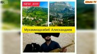 МухаммадХабиб Алискандиев аль Авары. Аварский Пандур Гоготль