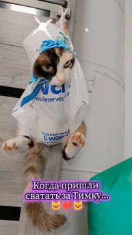 😽😽😽😽😽😽