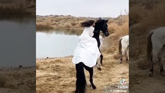 Красивые девушки и красивые Лошадь YouTube #SHORTS