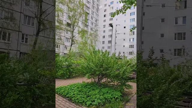 Moscow, Altufyevsky district 06.05.2025