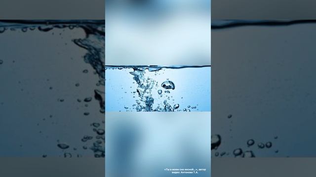 «Ты в моем сне весной…», автор видео: Антонова Т.А.