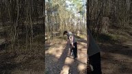 Большой муравейник нашли в лесу в Клязьминской пойме