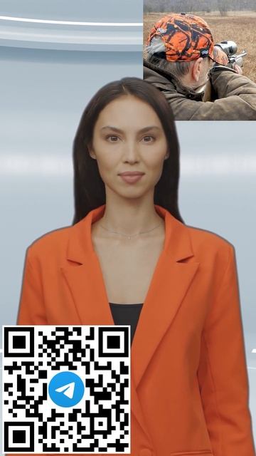 Охота в Охе: в городе отстреляли молодого медведя #shorts