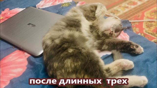 Наше состояние в эти 4 нерабочих дня)
