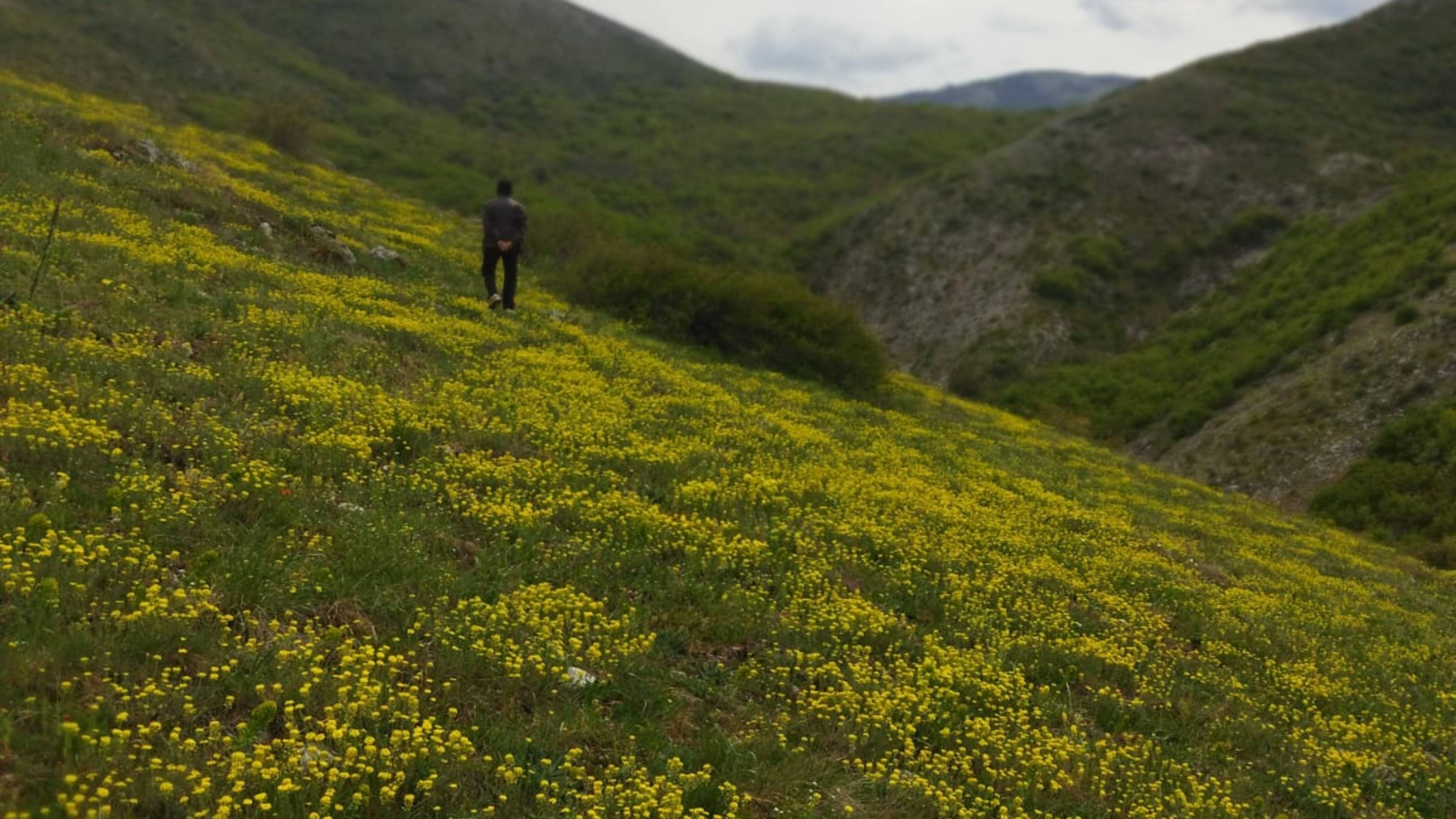 Экскурсия по нижнему плато Чатыр-Дага
