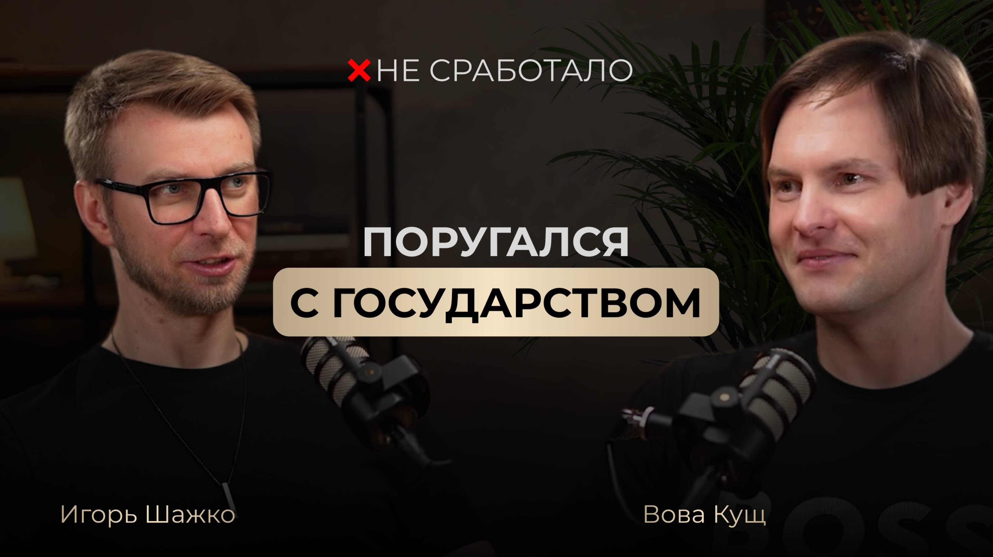 Не сработало #9 - предприниматель Владимир Кущ