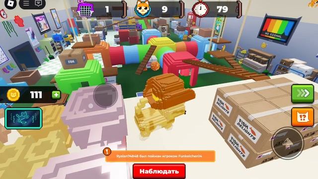 Играю в play cats hide and seek