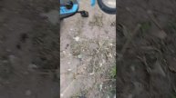 Я на детской площадке