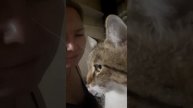 Кот Бакс. Мама хозяйка