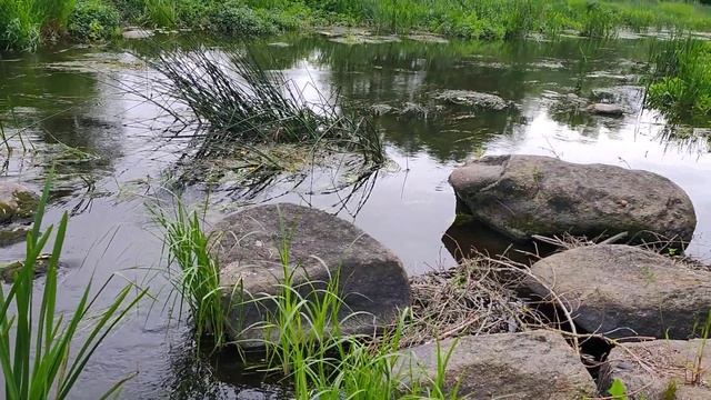 Красота красот.(Река Рось).