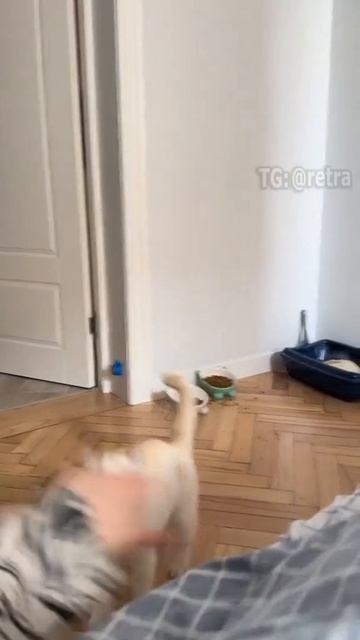 Подпишись, чтобы не потерять!